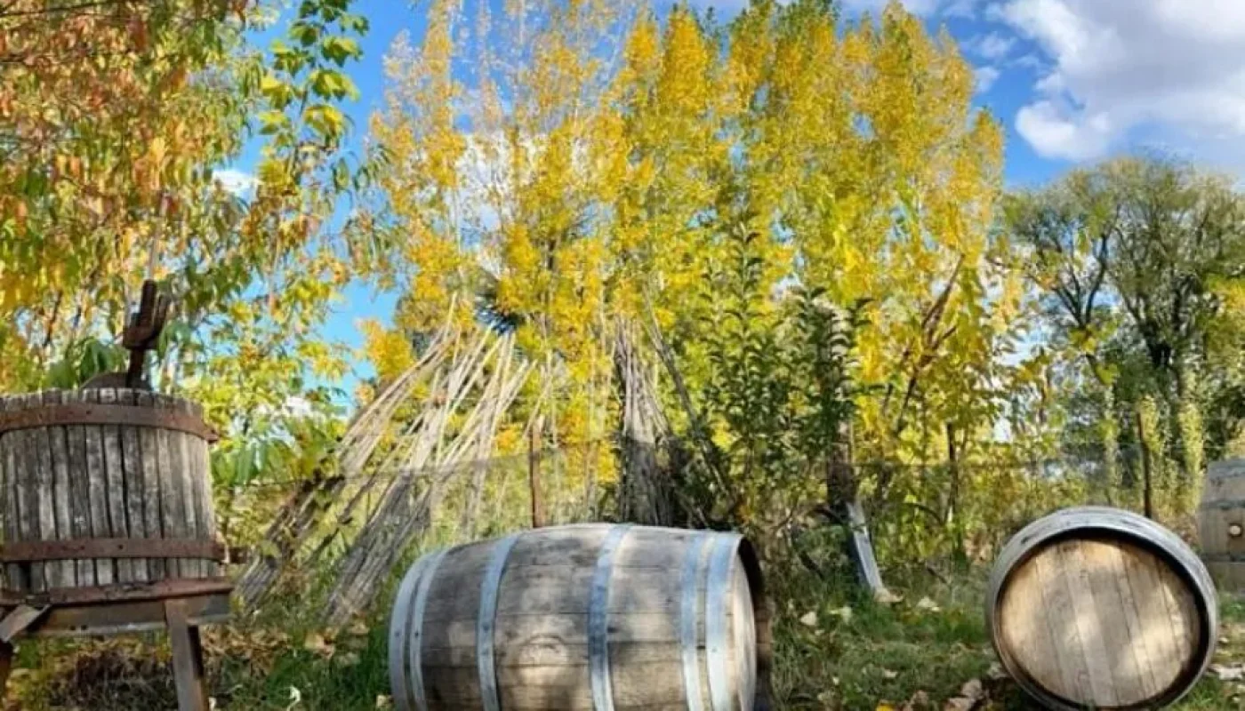vinos de la Bodega El Vistaflorino Vinos de Garage